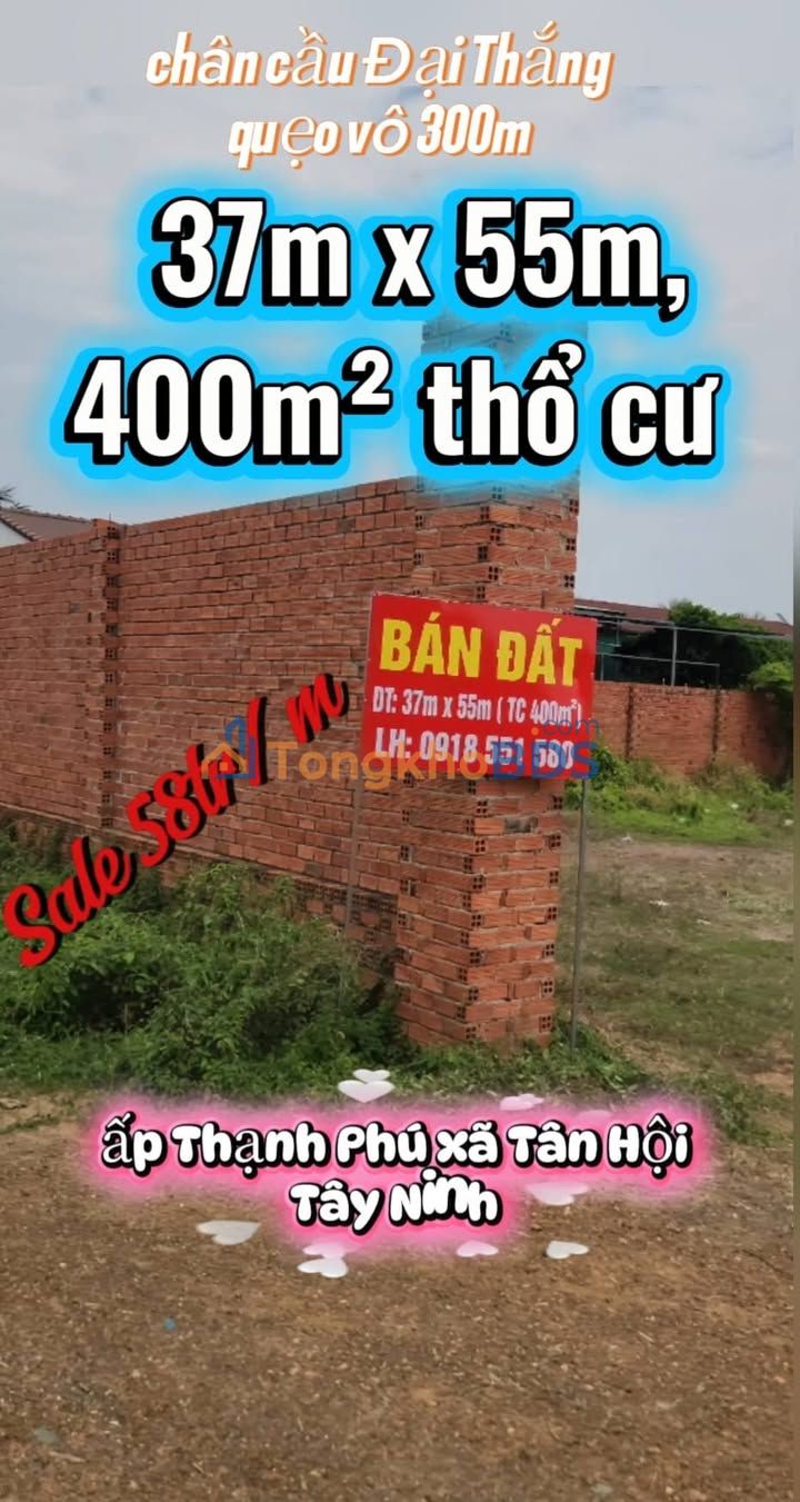 Đất Vàng Chân Cầu Đại Thắng, Tân Châu: 2035m² Sổ Đỏ, Giá Đầu Tư 2.146 Tỷ