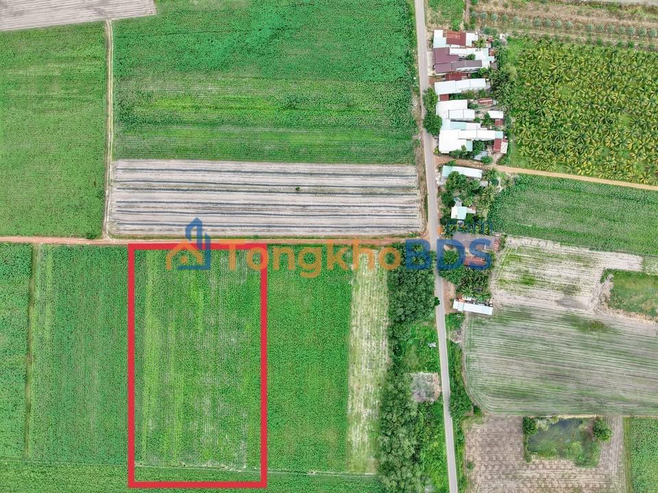 Đất nền Tân Hội, Tây Ninh - 700m² giá 169 triệu, sát KCN