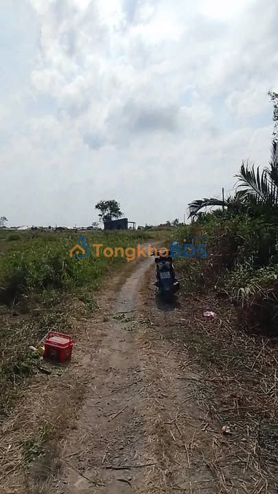 Đất Thổ Cư 100m² Giá 249 Triệu Tại Sa Đéc, Đồng Tháp - Cơ Hội Đầu Tư