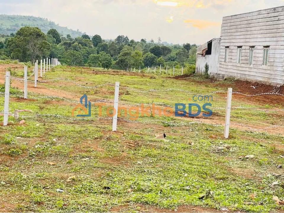 Bán Gấp Đất Mặt Tiền Lý Chính Thắng, Pleiku - 26.379m² Thổ Cư