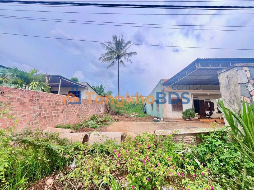 Đất Vàng Pleiku 196m² - Sổ Đỏ Chính Chủ, Giá 950 Triệu