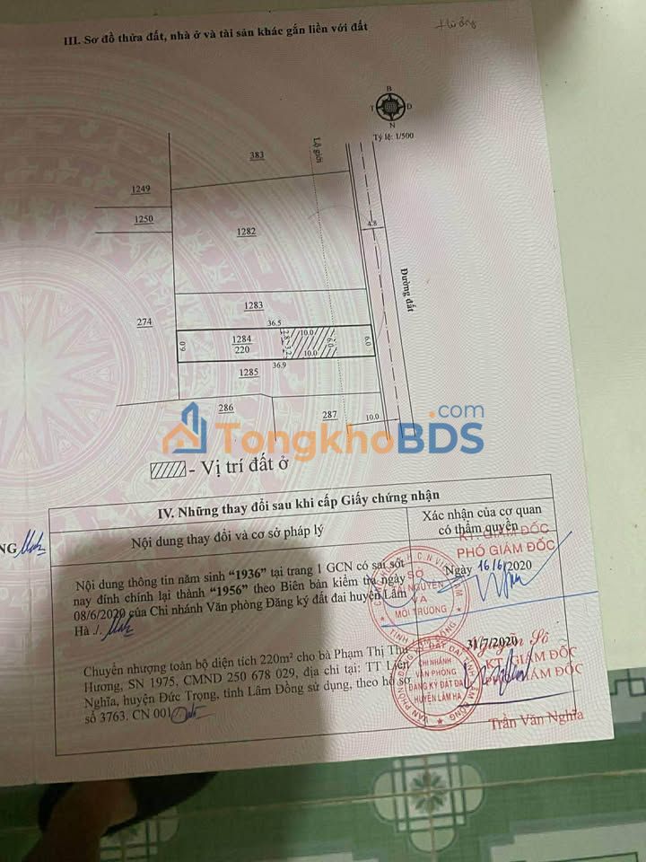 Đất Nền Hòa Lạc, Di Linh 234m² - Giá Tốt Hạ Sập Sàn 870 Triệu