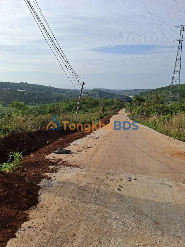 Bán Gấp Farm 2.2ha Đắk Nông - Trồng Sầu Riêng Thái & Cà Phê Kinh Doanh