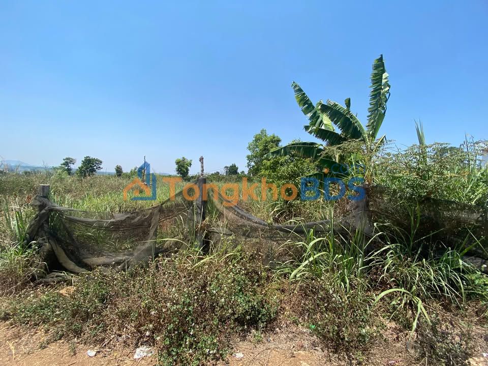 Đất Nền 175m² Hẻm Bùi Viện Pleiku - Sổ Hồng Thổ Cư, Giá Tốt