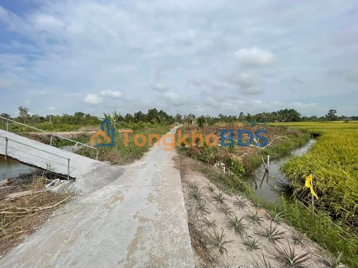 Đất Nền 200m² Gò Quao, Kiên Giang - Sổ Hồng Sẵn Sàng