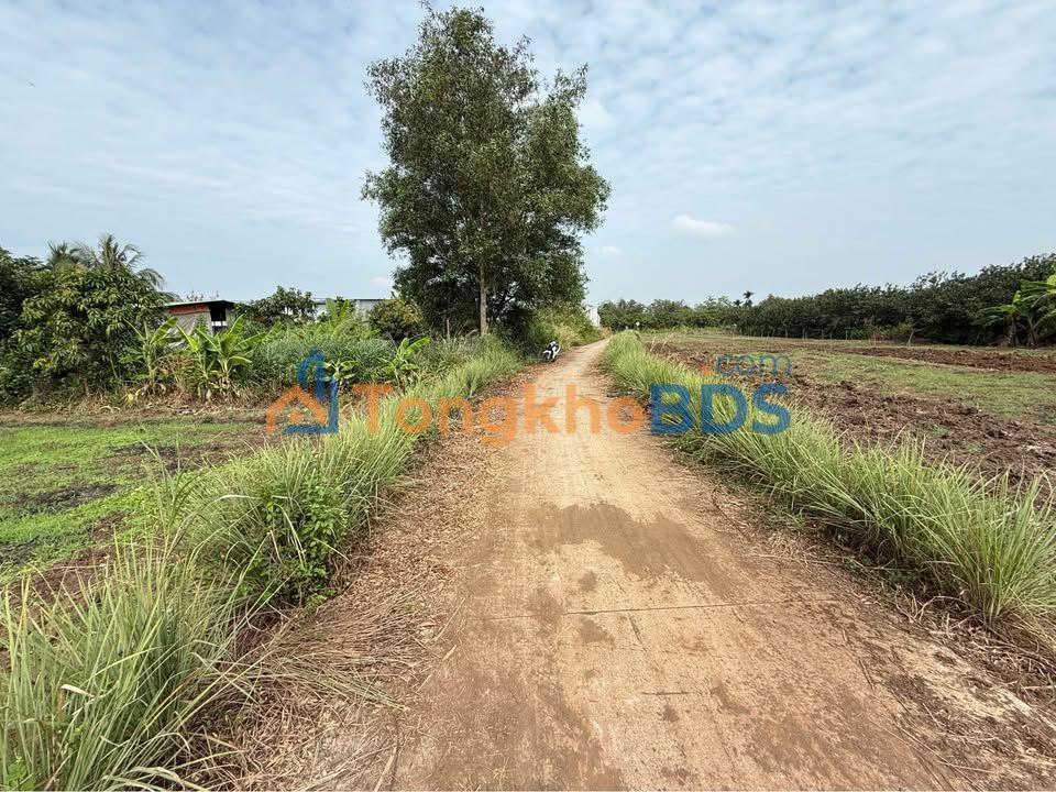 Đất Vườn 614m² Sổ Riêng Giá 650 Triệu Tại Trảng Bom - Gần Chợ Ấp 2