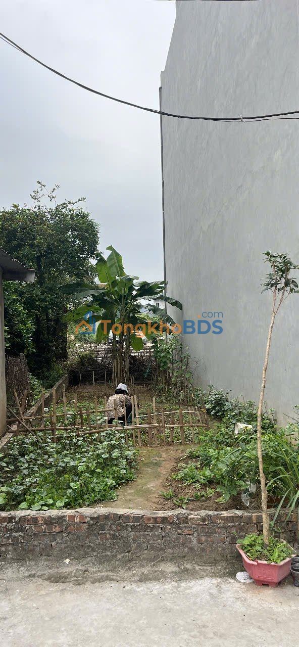 Đất nền Thanh Trì 47m² - Ngõ 5 ô tô - Giá nhỉnh 4 tỷ