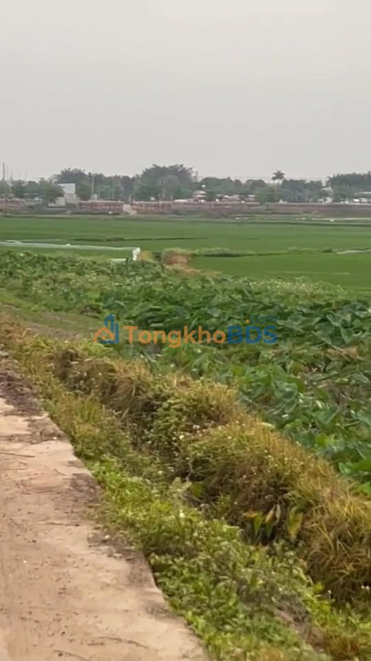 Đất Nền Hiệp Hòa 137m² - Sổ Đỏ Sẵn Sàng, Đường Xe Tải