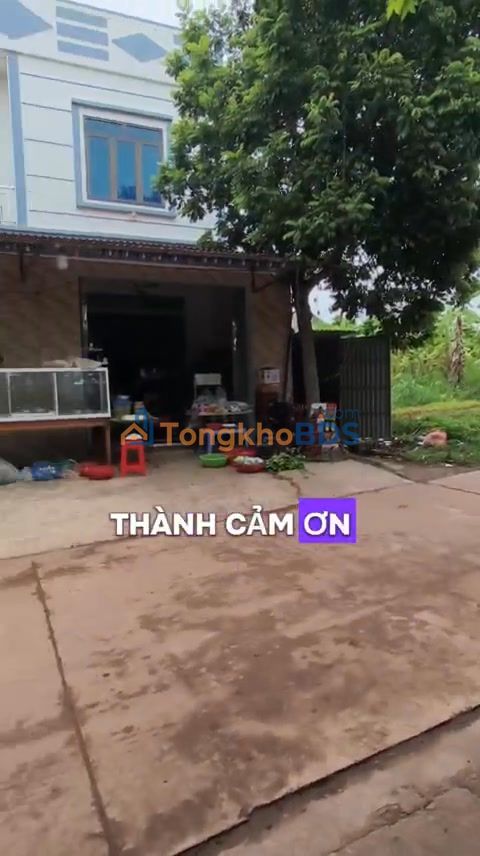 Đất nền Tiên Lục, Lạng Giang 200m² - Kinh doanh đắc địa, giá chỉ 1 tỷ