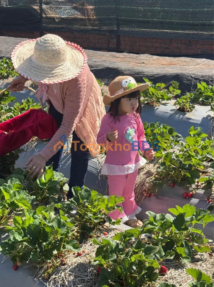 Đất thổ cư 97m² Ngô Quyền, Pleiku - Giá chỉ 4xx triệu