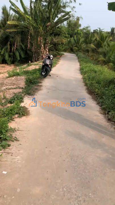 Bán Gấp Đất 3600m² Xã Bình Hòa, An Giang - Xe Tải Tới Đất