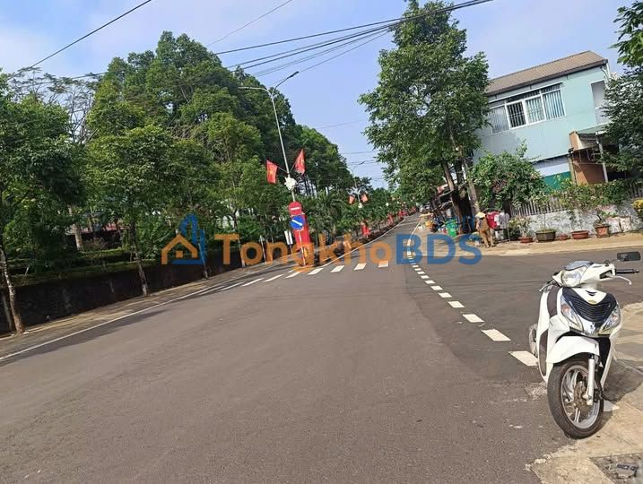 Mặt Tiền Nguyễn Du Tuy Đức 180m² - Kinh Doanh Sầm Uất