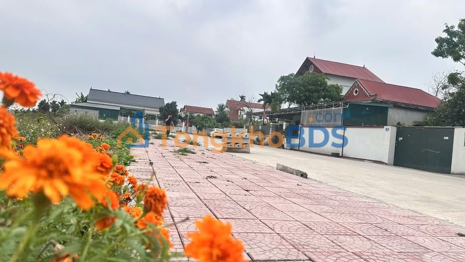 Đất đấu giá Hội Thịnh, Phú Thọ 100m² - Mặt tiền 5m, đường 16.5m, giá 2.x tỷ