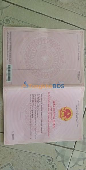 Đất Nền Tân Uyên 2411m² Sổ Đỏ Chính Chủ - Giá Tốt 5.4 Tỷ