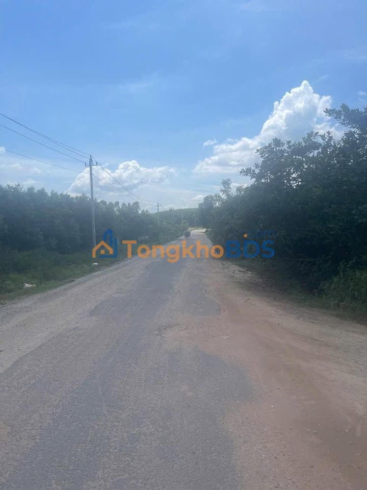 Đất Thổ Cư 2000m² Mặt Tiền Đường 33m, Ea Kar - Giá Đầu Tư 120 Tỷ