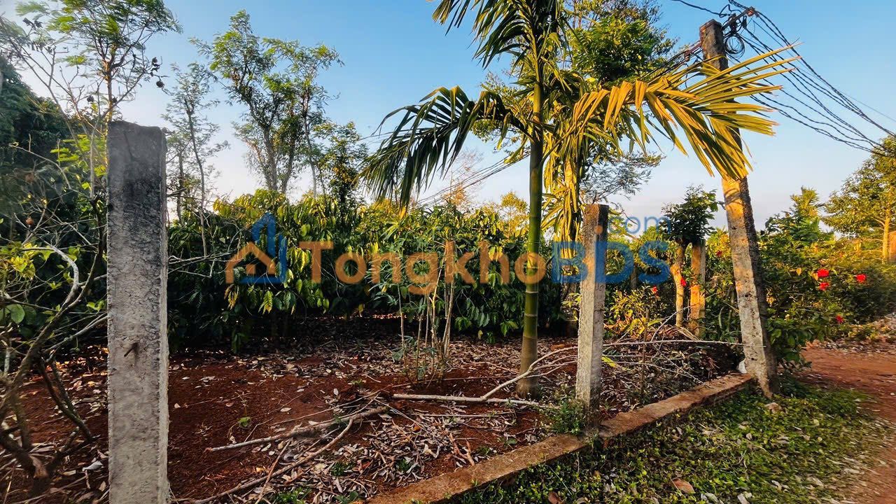 Đất Buôn Tơng Ea Kar - 400m² Giá Tốt Chỉ Từ 7xx Triệu