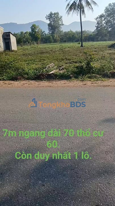 Đất Vàng Xã Cư Jang, Đắk Lắk - 490m² Sẵn Sàng Kinh Doanh