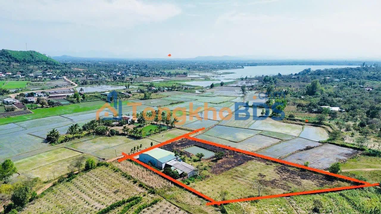 Bán Gấp Nhà Vườn 5100m² View Đồng Ruộng Eakly, Đắk Lắk - Chỉ 1.8 Tỷ