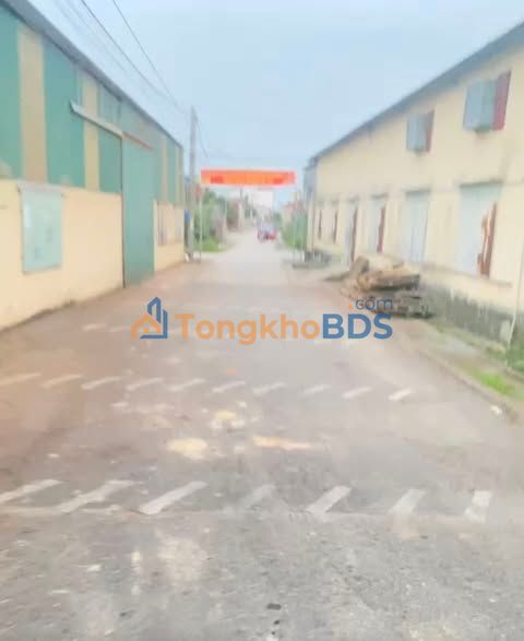 Bán đất 120m² Thụy Dân, Thái Thụy - Sổ đỏ full thổ cư, đường rộng, giá tốt