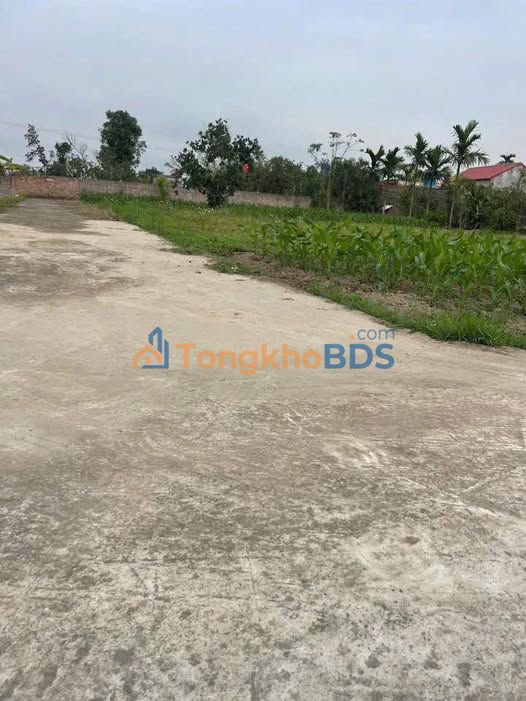 Đất nền Thái Hưng Thái Thụy 150m² 5 tỷ - Đường to ô tô