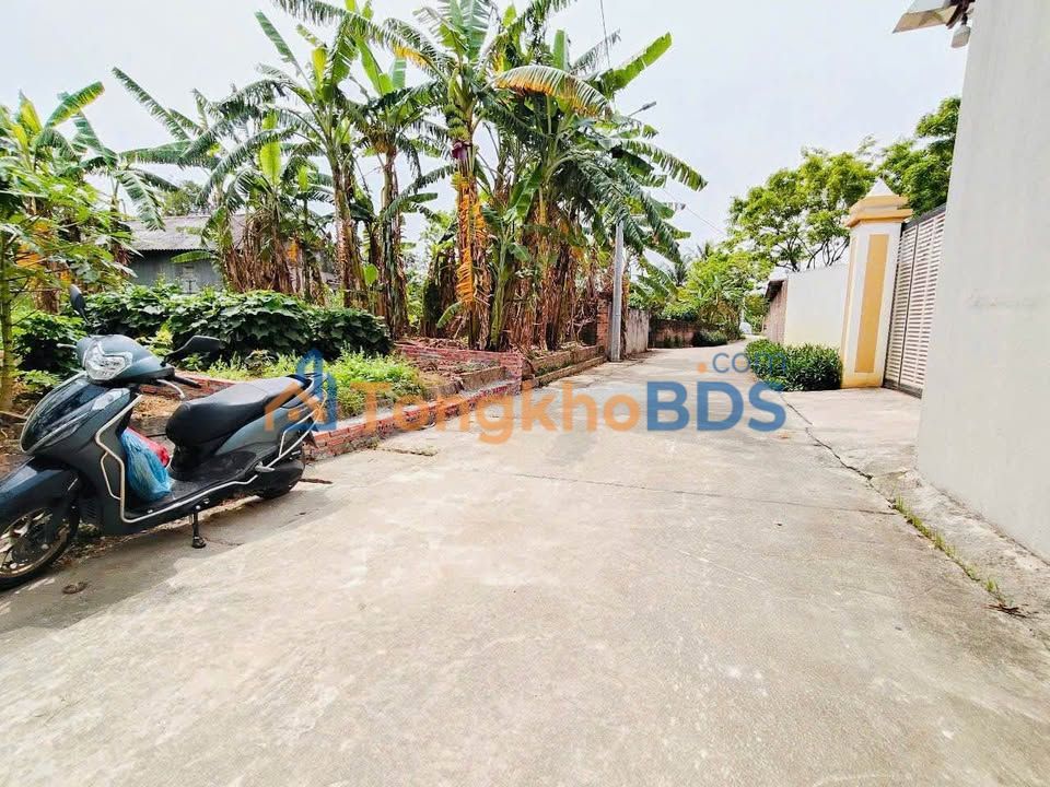 Đất nền Tam Đảo 100m² - Sổ đỏ thổ cư, gần DT302, giá 8xx triệu