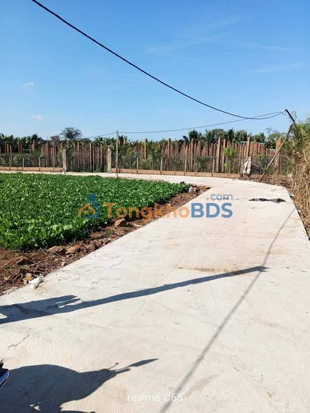 Đất nền 194m² Phước An, Krông Pắc - Sổ TC, Giá 289 Triệu