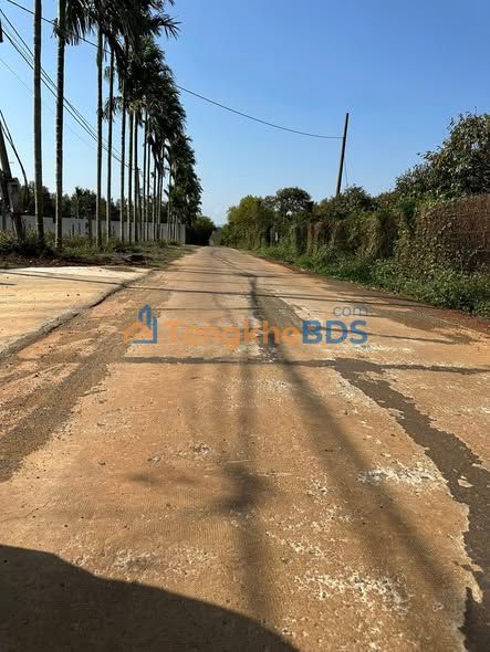 Đất thổ cư 125m² (2 lô liền kề) Thị trấn Phước An, Krông Pắc - Giá 830 triệu/lô