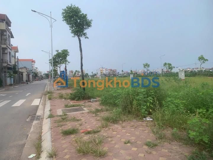 Đất nền 50m² Thường Tín - Sổ đỏ sẵn sàng, đầu tư sinh lời