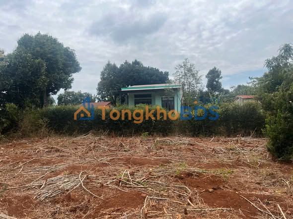 Bán Đất Cư M'gar Đắk Lắk 3360m² Giá Dưới 2 Tỷ - Đầu Tư Sinh Lời