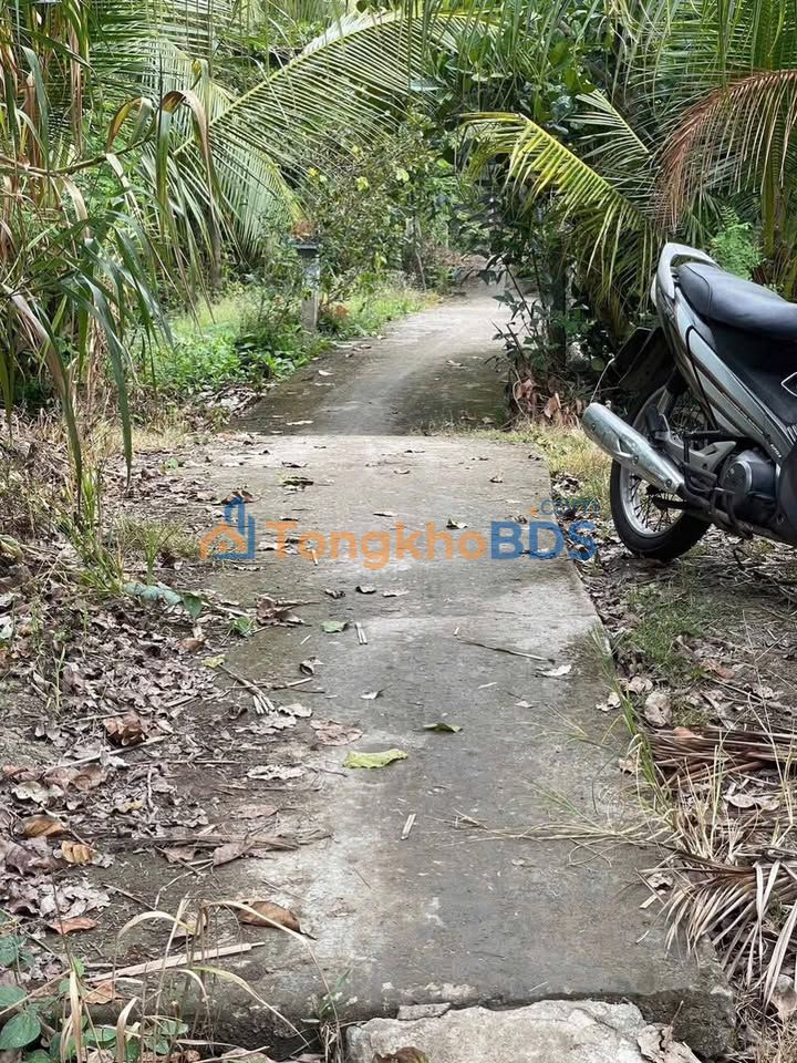 Bán đất ruộng 3995m² Thới Lai, Cần Thơ - Giá 780 triệu, Sẵn Sàng Đầu Tư