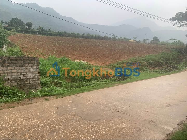 Đất Ba Vì 3560m² View 360° - Giá Tốt Đầu Tư Nghỉ Dưỡng