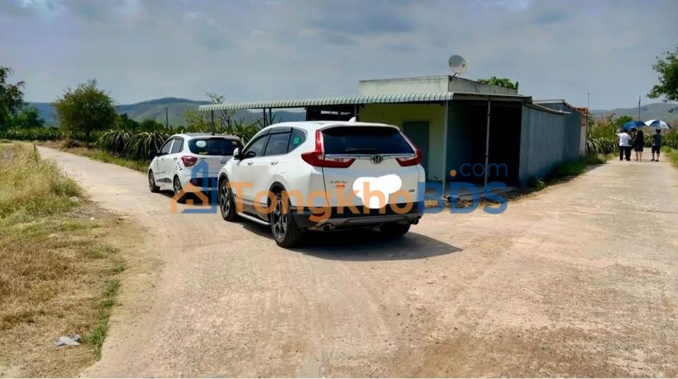 Đất nền 6192m² Hàm Thuận Bắc, Lô Góc MT QL28 - Đầu tư sinh lời