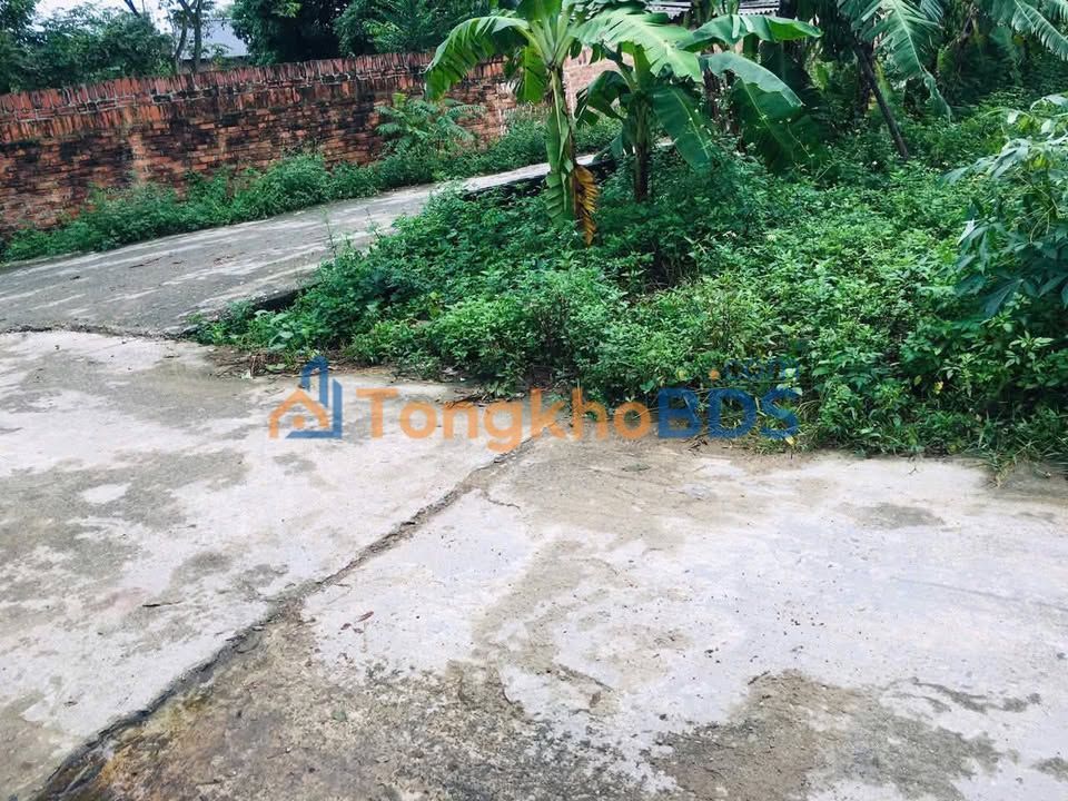 Đất Vĩnh Phúc Sổ Đỏ 30m² - MT 5.8m, Giá 599 Triệu, Gần KCN Tam Dương