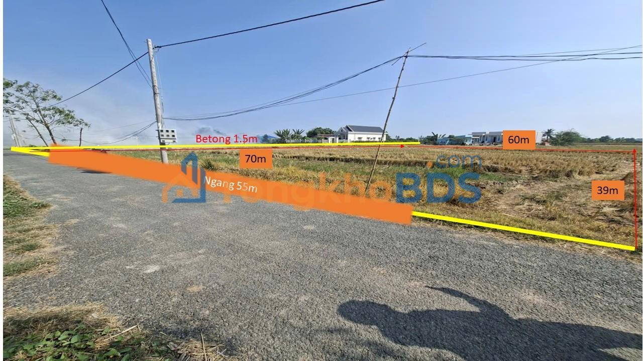 Đất Nền Tân Tập, Cần Giuộc 2751m² - Sổ Đỏ Sẵn Sàng, Tiềm Năng Tăng Giá Cao