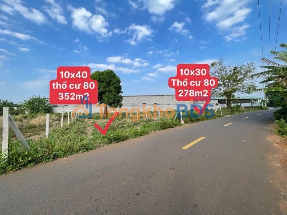 Bán Đất Nền Thị Trấn Đất Đỏ, Bà Rịa - Vũng Tàu, 278m² - 352m² - Giá Tốt