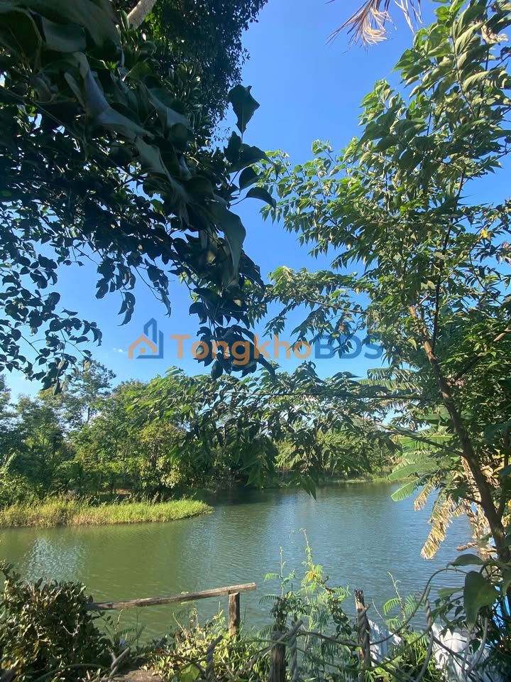 Đất Nền Ea Kmat, Đắk Lắk 600m² - Lô Hiếm Hướng Nam, Giá Tốt