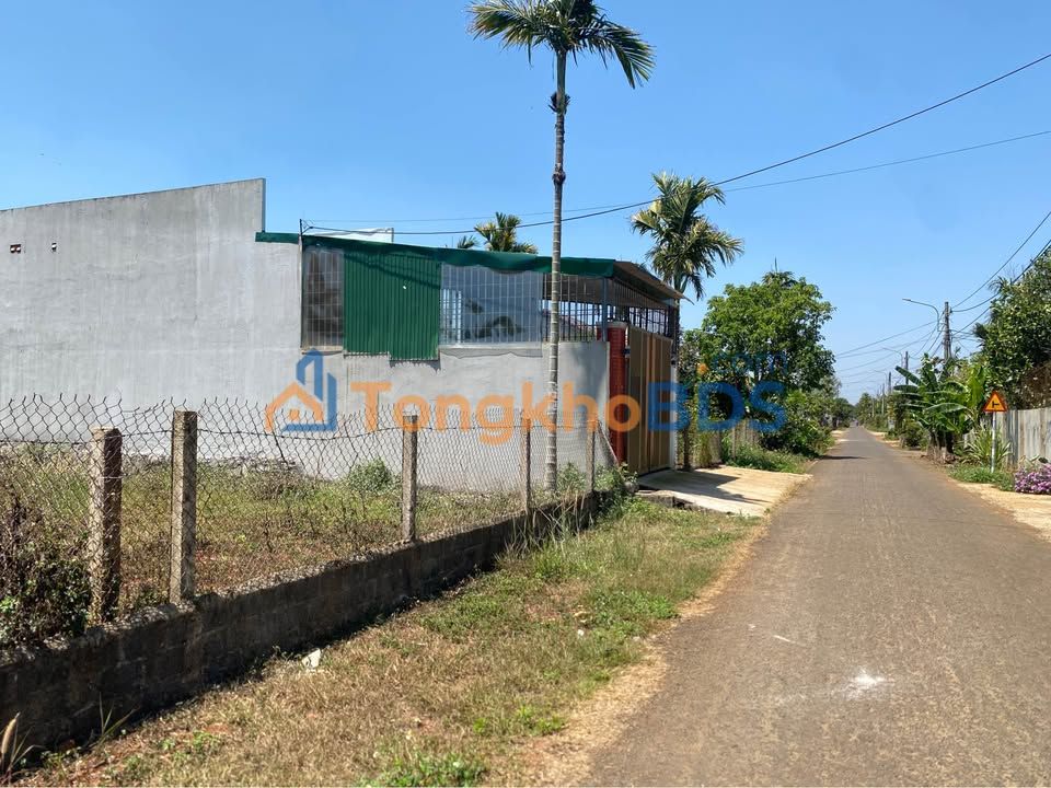 Đất Mặt Tiền D5 Tân An, Đắk Lắk - 320m² Thổ Cư, Giá 2.6 Tỷ