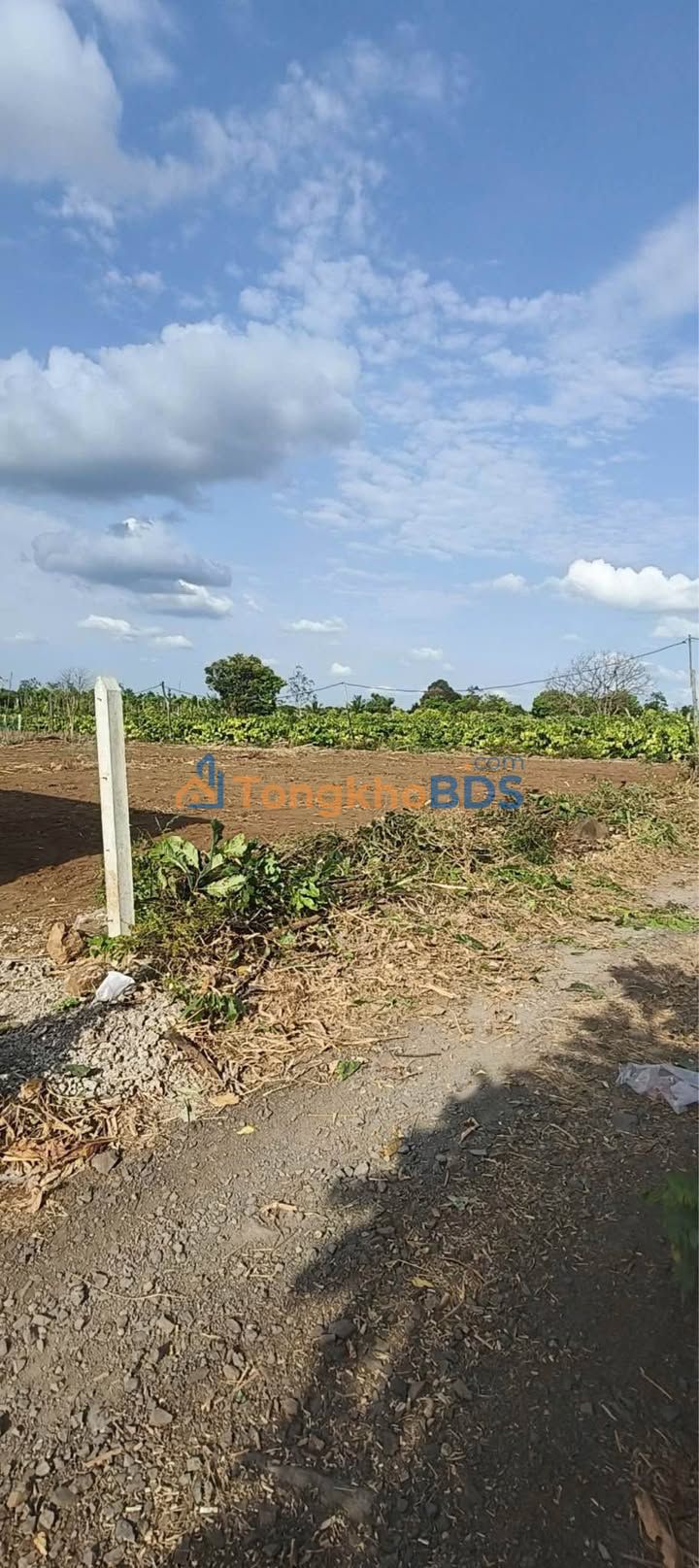 Bán Đất Thôn 15 Ea Bar - 360m² TC 60m² - Giá 590 Triệu