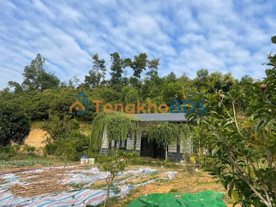 Đất Vườn Nghỉ Dưỡng Chí Linh 1000m² - Sổ Hồng Sẵn Sàng - Chỉ Từ 1 Tỷ