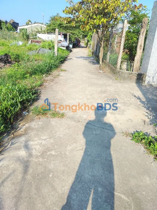 Đất Nền Thôn Trung, Bình Sơn 350m² - Sổ Đỏ Rõ Ràng, Giá Tốt