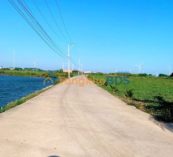 Bán Gấp Đất Nông Nghiệp 4920m² Mặt Tiền 66m Sát Biển Thạnh Hải, Bến Tre