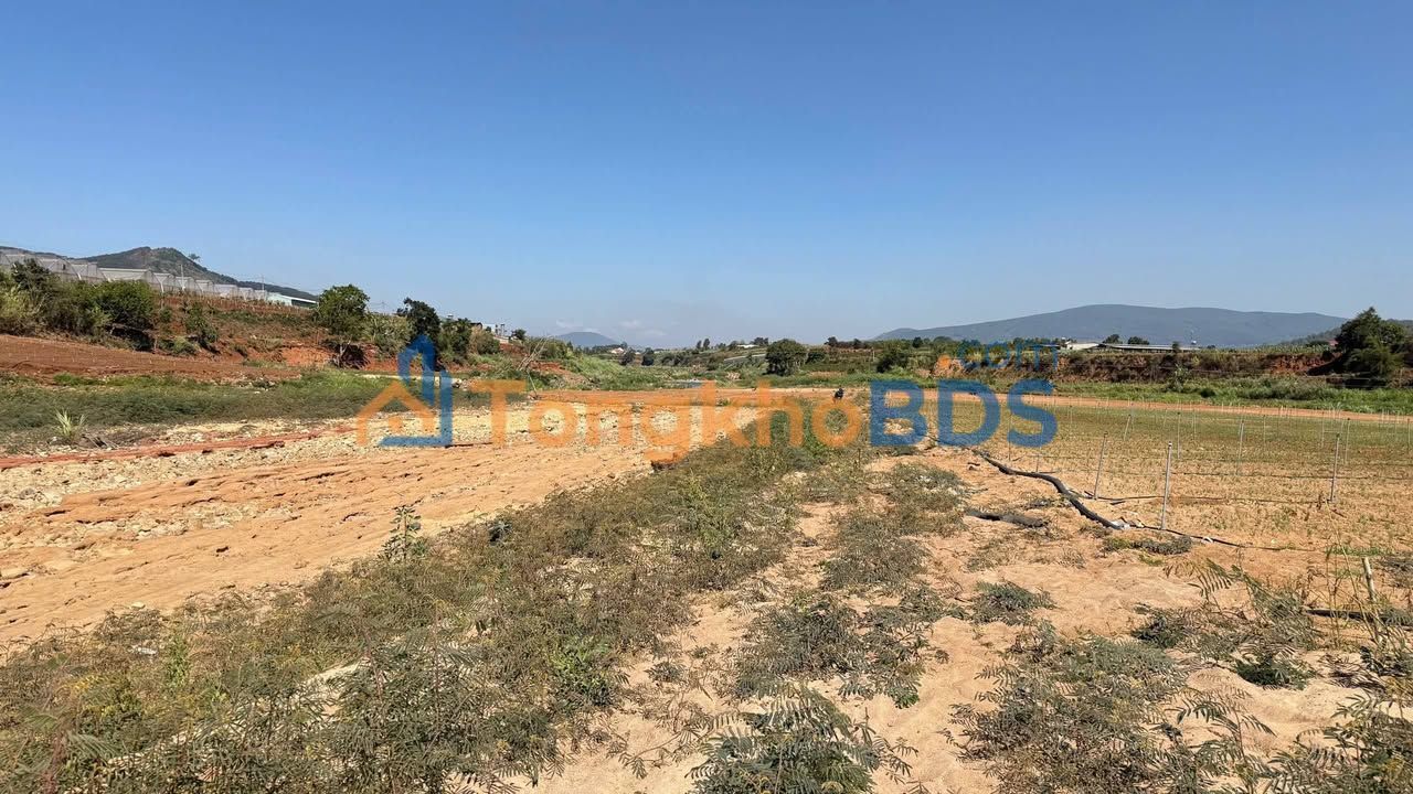 Bán 3000m² Đất Nông Nghiệp Đức Trọng - Sổ Riêng, Mặt Tiền 80m, Giá 1 Tỷ