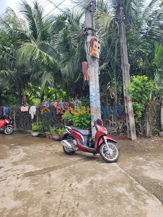 Đất Vườn Diên Điền - 60m² Sổ Đỏ, Giá 9.5 Triệu/m² - Đầu Tư Sinh Lời