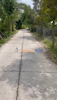 Farm 20.000m² Mỹ Đức Đông, Cái Bè - Sẵn Sàng Làm Bông Tháng 4