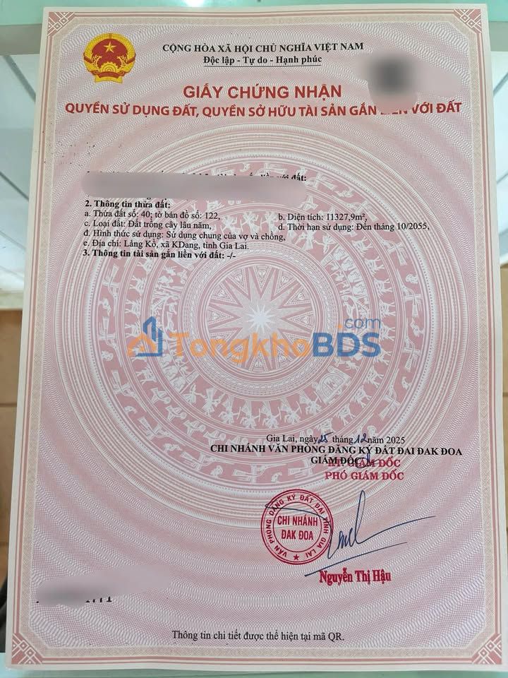 Bán Rẫy Cà Phê 1.1ha Đăk Đoa - Thu Nhập Ổn Định 6 Tấn/Năm