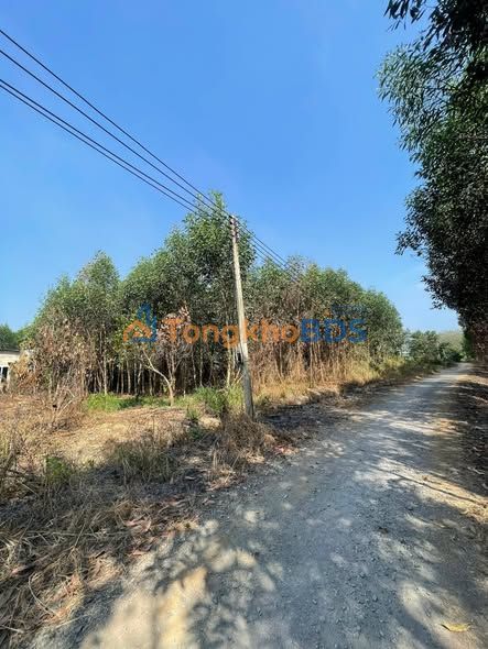 Bán Đất Vườn Lạc An 8398m² - Giá Tốt Chốt Nhanh