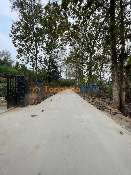 Đất thổ cư 110m² Tuyên Quang - Gần Chợ Ruộc, Sổ hồng chính chủ