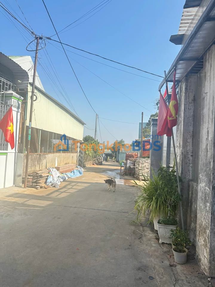 Đất Nền Hẻm 243 Lê Đại Hành, Pleiku - 155m² Thổ Cư, Giá Tốt