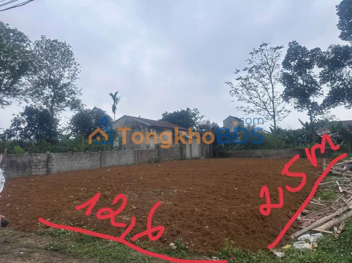 Đất Nền Thường Xuân Thanh Hóa - Đầu Tư Sinh Lời 800 Triệu - 1 Tỷ