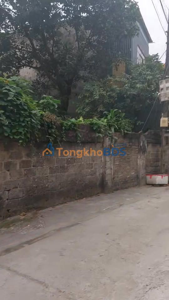 Đất nền Hạ Hòa 331m² - Sổ đỏ tách thửa, sát KĐT Âu Cơ